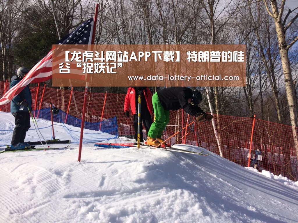 龙虎斗网站