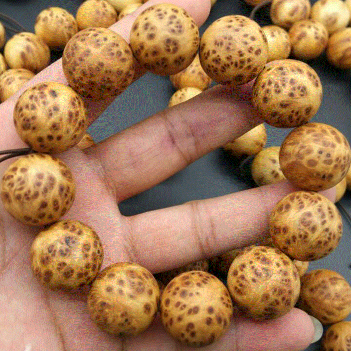 龙虎斗网站
