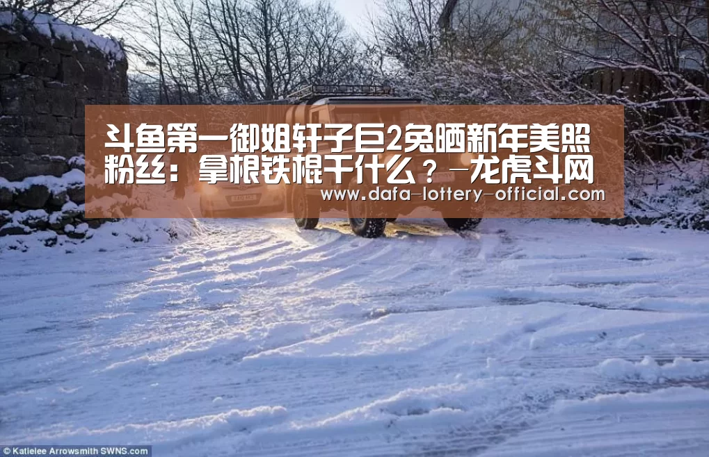 龙虎斗网站官网