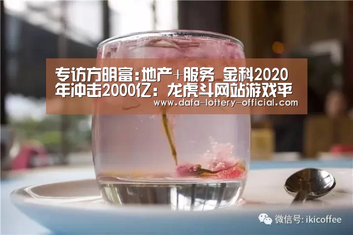 龙虎斗网站APP下载